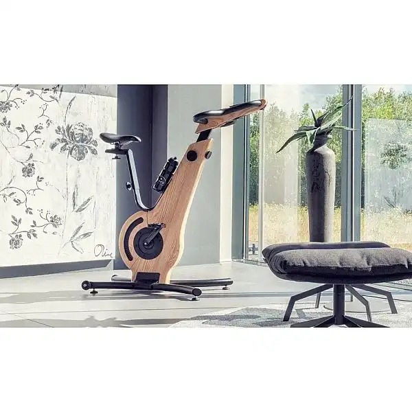 Велотренажер електромагнітний NOHRD Oak