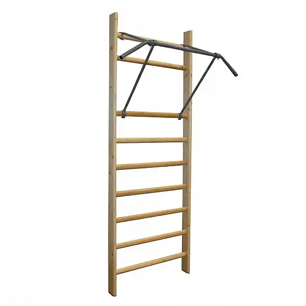 Турник inSPORTline для шведської стінки