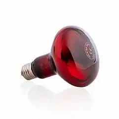 Інфрачервона лампочка inSPORTline 150W/230V E27 R95