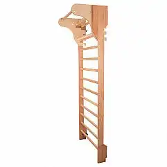 Шведська стінка з турніком inSPORTline Dremar 250 x 90 см