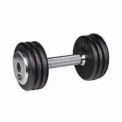 Гантель inSPORTline ProfiST 10кг