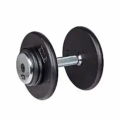 Гантель inSPORTline ProfiST 15кг