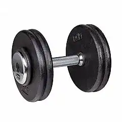 Гантель inSPORTline ProfiST 22,5 кг
