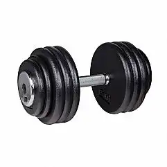 Гантель inSPORTline ProfiST 42,5 кг