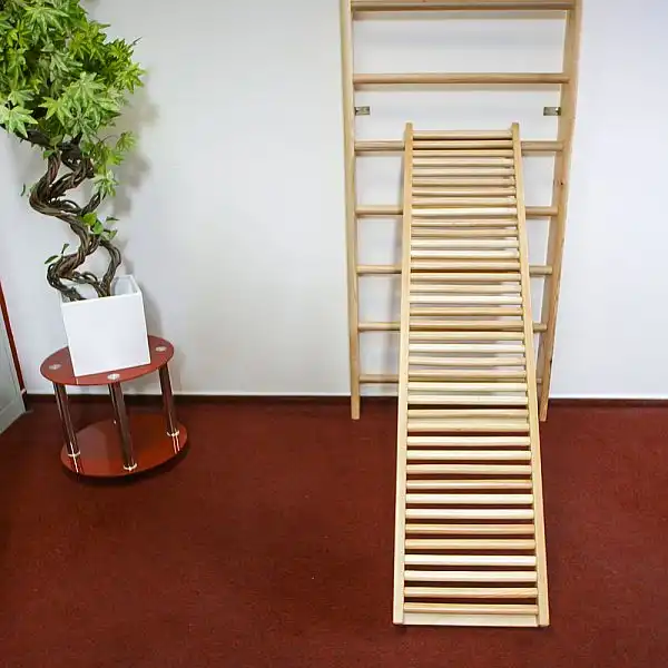 Шведська стінка inSPORTline Dremar 230 x 90см