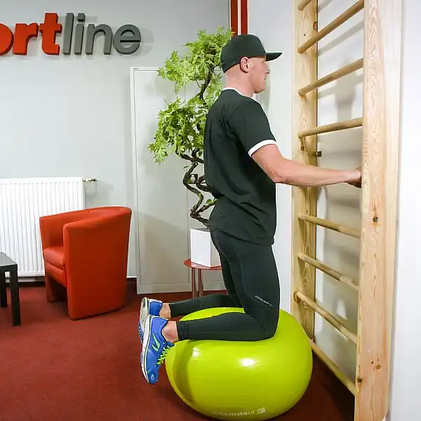 Шведська стінка inSPORTline Steadyline 250 х 90 см