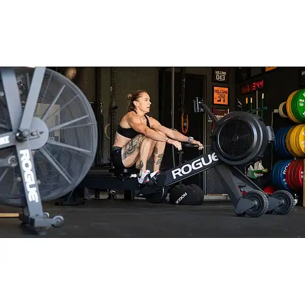 Гребний тренажер Rogue Echo Rower