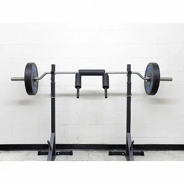 Гриф олимпийский для приседаний Fit-On Squat 220 см/50мм (250 кг)