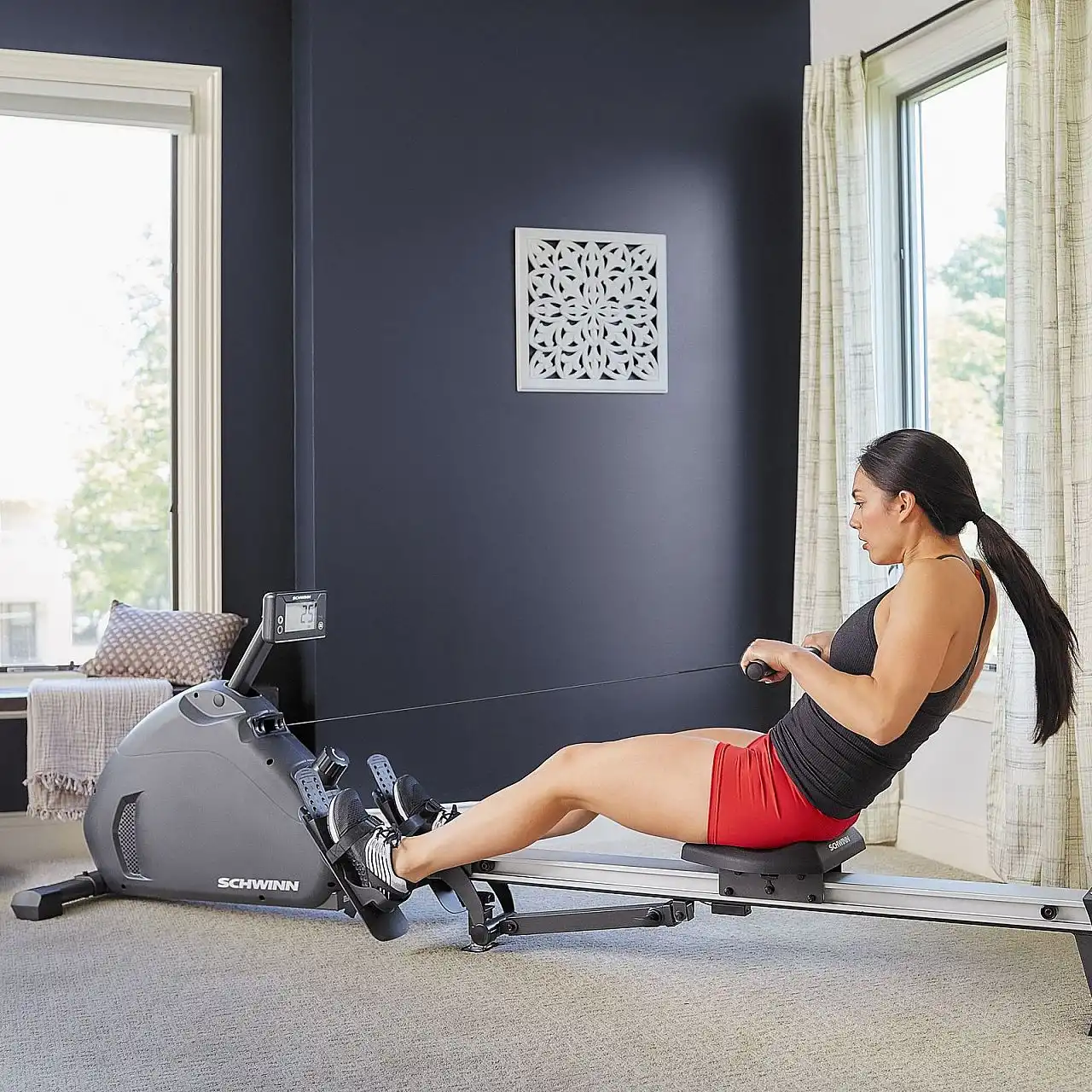 Веслувальний тренажер Schwinn ROWER