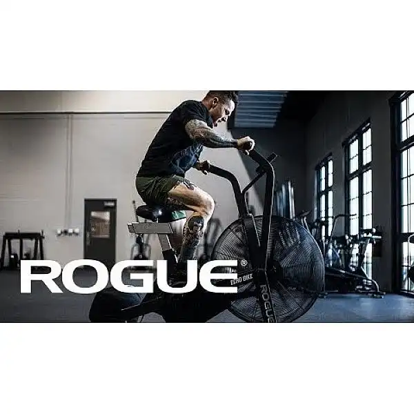 Велотренажер Rogue Echo Bike V3