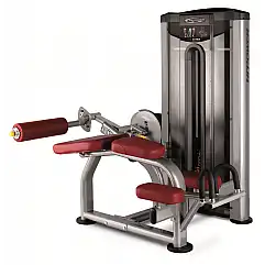 Згинач стегна лежачи BH Fitness L030
