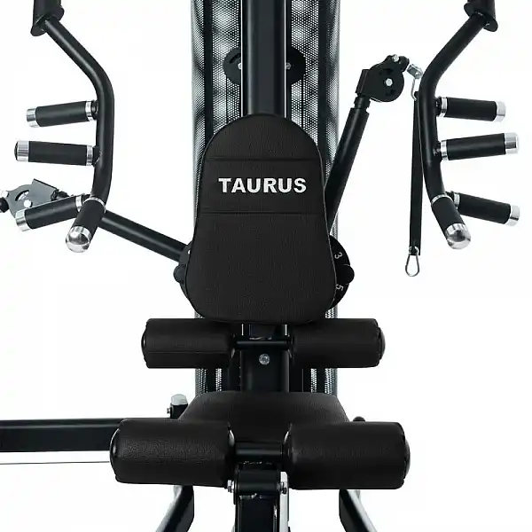 Силова фітнес-станція Taurus WS7