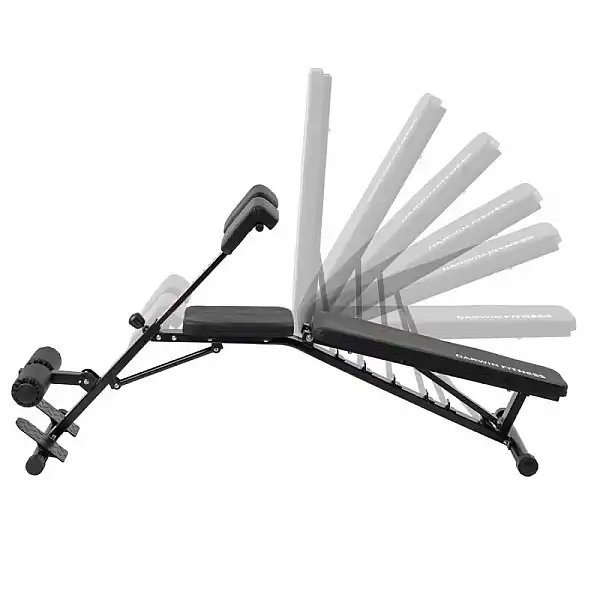 Лавка для жиму з гіперекстензією Darwin FB60