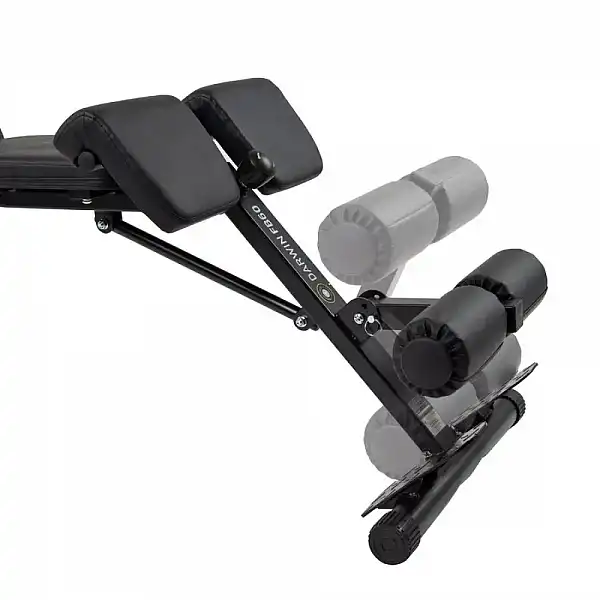 Лавка для жиму з гіперекстензією Darwin FB60