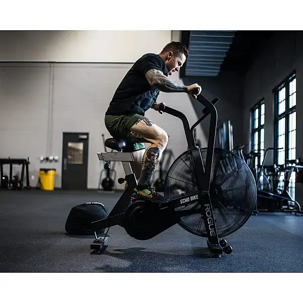 Велотренажер Rogue Echo Bike V3