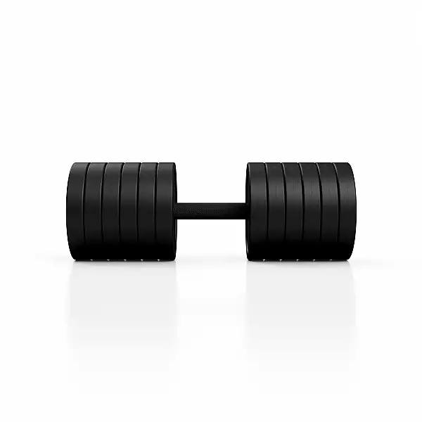 Гантель прорезиненный Marbo Sport 47.5кг, черный матовый