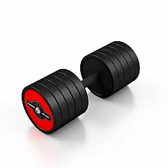 Гантель прогумована Marbo Sport 42.5кг, червоний глянець